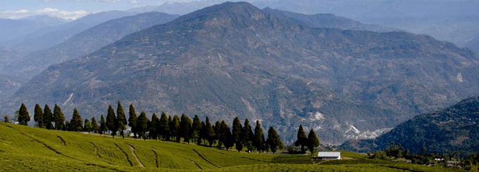 Orange Village Resort, Gangtok