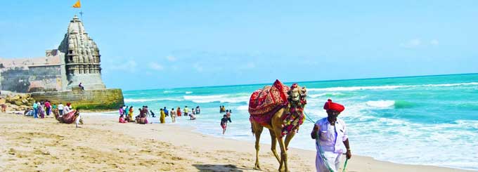 Exclusive Gujarat Tour